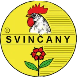 CSCH Svincany